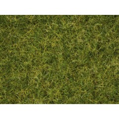 Noch Scenery 07072 Master-Grasmischung Sommerwiese 25 Bis 6 Mm 50 G