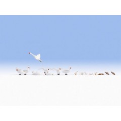Noch Scenery 15774 Schwäne Und Enten H0