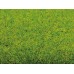Noch 00010 Grasrol "Fruhlingswiese" lenteweide 200x100cm
