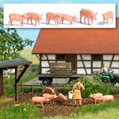 Busch 1172 Sechs Schweine H0