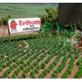 Busch 1265 Aardbeien planten